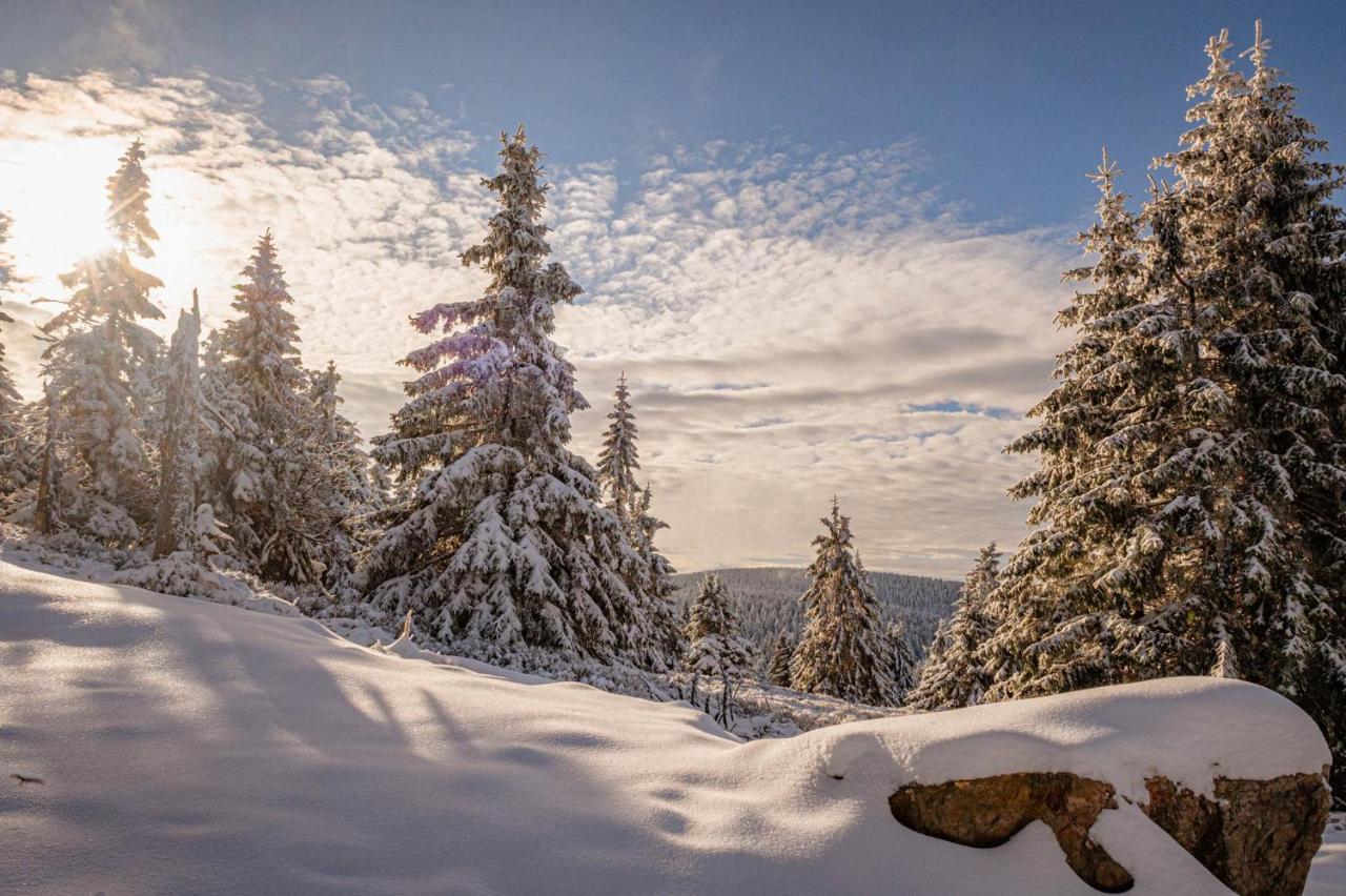 Gorskie Chatki Krysi I Piotrka Perlowy Stronie Śląskie Exterior foto